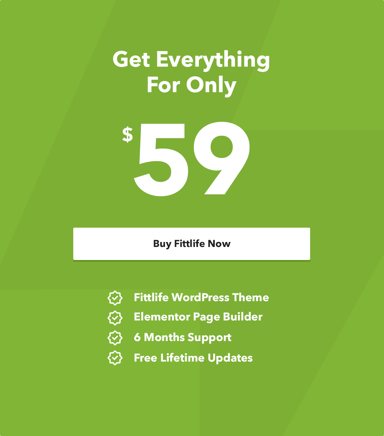 Fittlife WordPress Theme Price